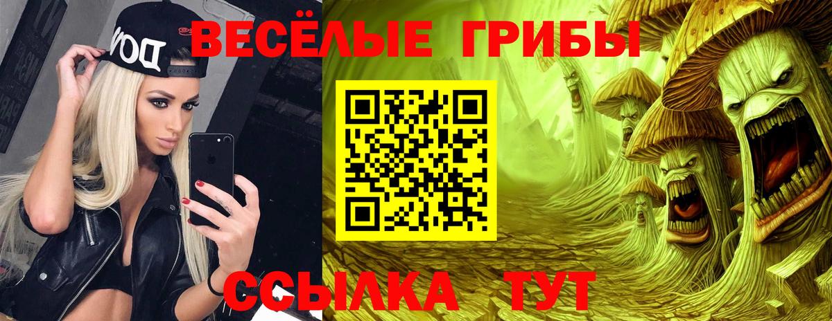 Галлюциногенные грибы Magic Shrooms  Вход с VPN  цена   Владикавказ 